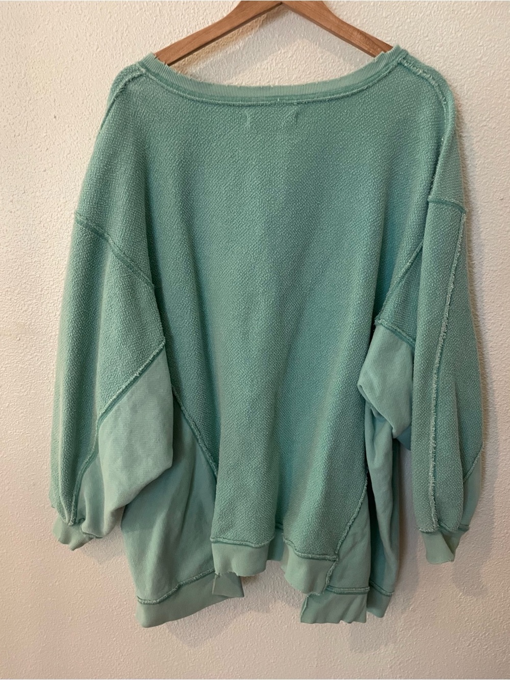 Free People We The Free The Band Pullover Mint Green Size Small Cotton Oversized - Picture 4 of 5